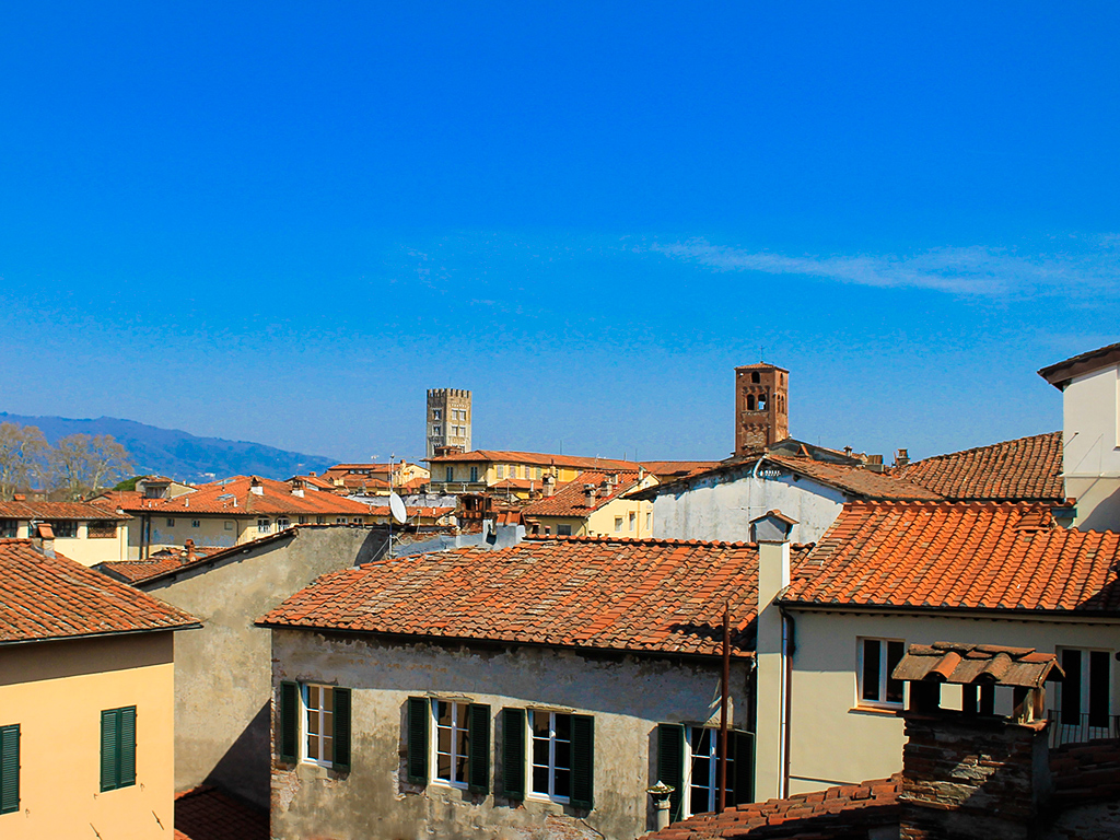 rooftops of lucca